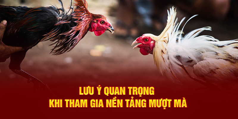 Khám phá các cửa cược phổ biến cho thành viên