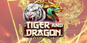 Lý do luật chơi rồng hổ ww88 được ưa chuộng