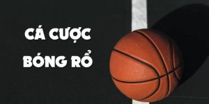 cá cược bóng rổ