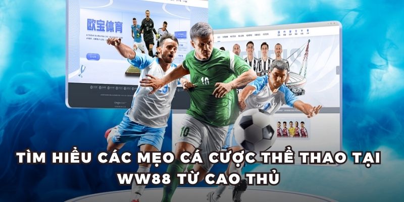 Hiểu rõ những loại kèo cược đang đặt cược